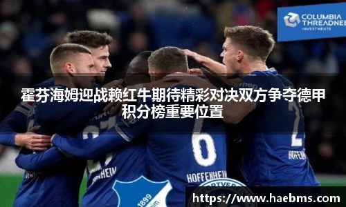 霍芬海姆迎战赖红牛期待精彩对决双方争夺德甲积分榜重要位置